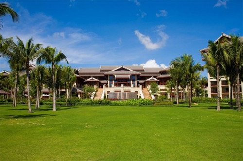 疯炊草冻烧仙草