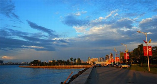 城市爱情炒酸奶