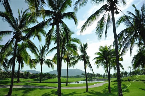 2025卤肉饭行业还有市场吗，东东记卤肉饭加盟店热线是多少