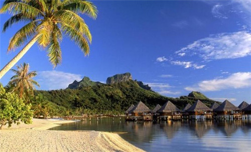 同仁堂加盟店，同仁堂加盟费是多少