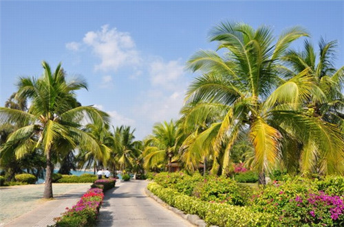 欢乐思必客，欢乐思碧客加盟费多少