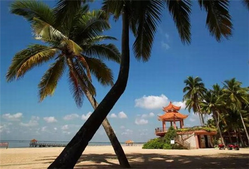 衬衣加盟店需要注意哪些事项，衬衣专卖